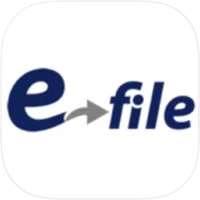 E-File Taxes